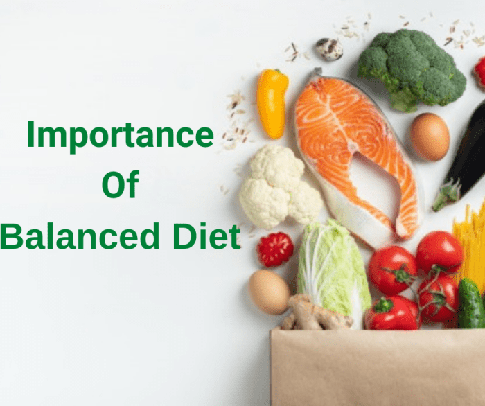 Benefits of a balanced diet for mental clarity and focus