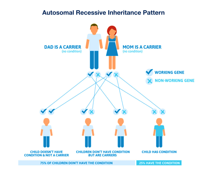 Benefits of genetic screenings for inherited conditions